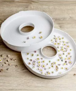 Dampfgarer & Reiskocher Rommelsbacher DA 750 Dörrautomat Weiß -Küchenkleingeräte Verkäufe 5e23f7e0 aecd 4a26 b16e 3f63811df4ff 600x600