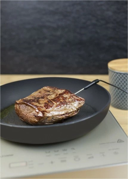 Geschirr- Und Kochplattenwärmer Caso TC2100 Thermo Control Induktionskochplatte Silber 4 Geschirr- Und Kochplattenwärmer Caso TC2100 Thermo Control Induktionskochplatte Silber – Bild 4